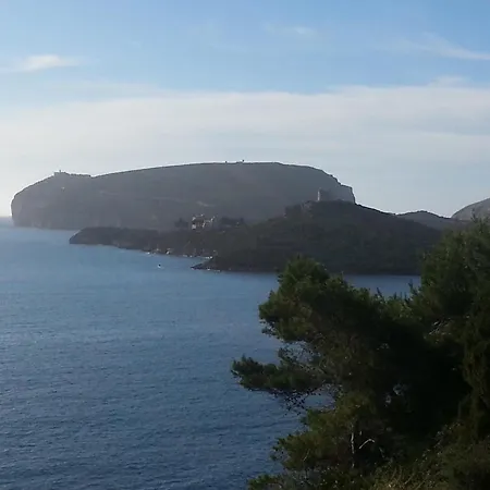 Mistral אלגהרו